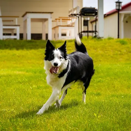 Osada Wilaneska Mazury *